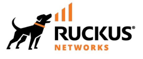 ruckus-wireless-logo